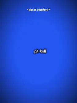 PITBULL