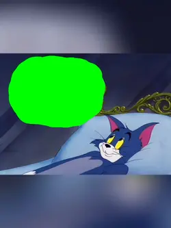TOM IS DREAMING
