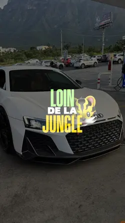 pnl ma vie