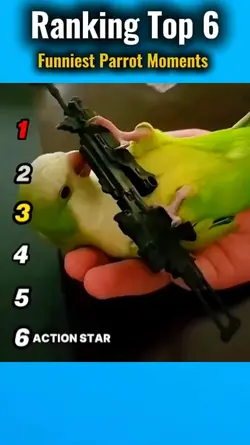 Funniest Parrot