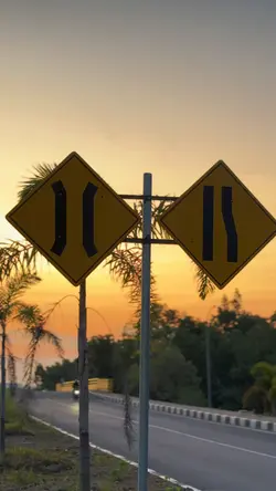 11 klip cinem animal