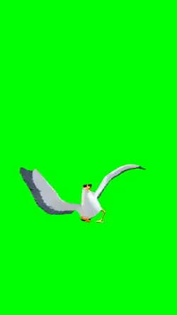 Gmod Seagull Dance 