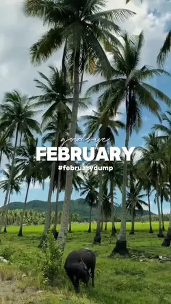 goodbye FEBRUARY