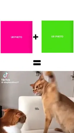 ཌᎬᴅɪƬ ᏞᴀƁ⪻ỮŞA⪼