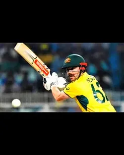 Cricket edit