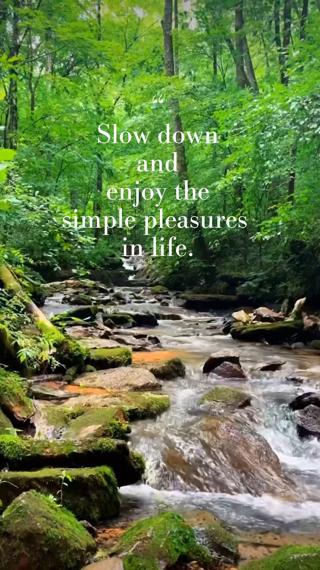 Slow Down 🤍