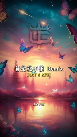 有愛就不怕 Remix