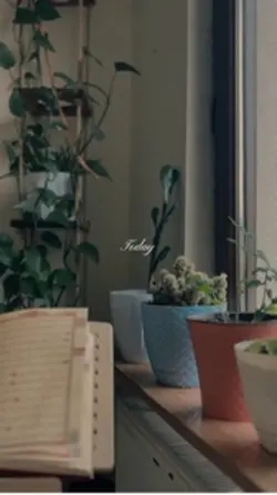 10 clip aesthetic