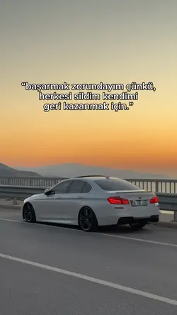 Başarmak Zorundayım.