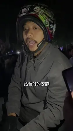 褪色的紫色花海·DJ混音