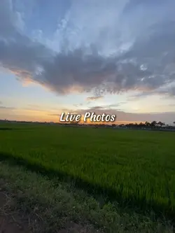 Live Photos