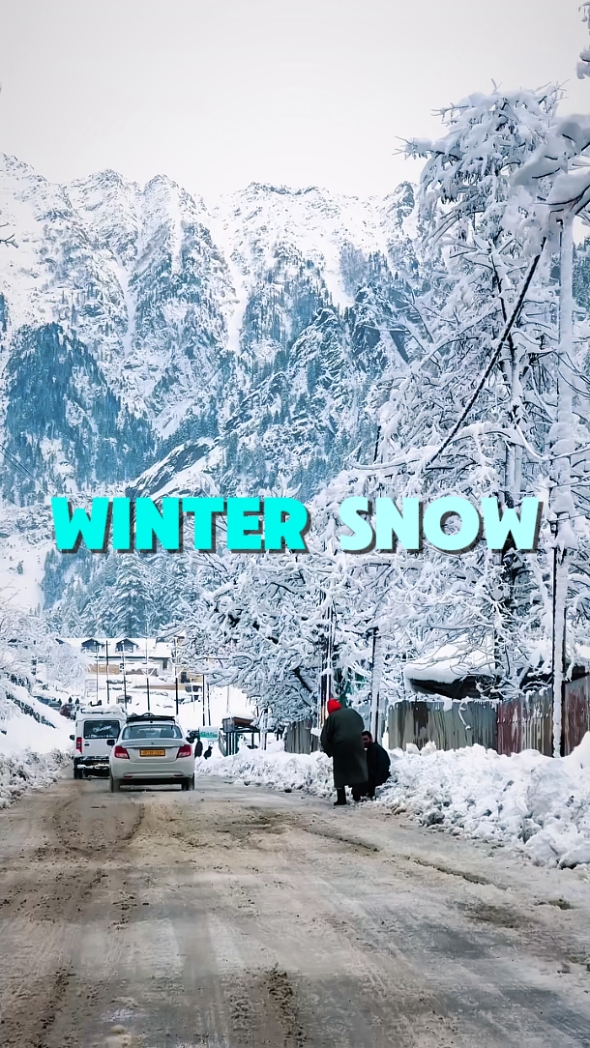 WINTER SNOW