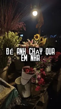 Để anh qua em nha