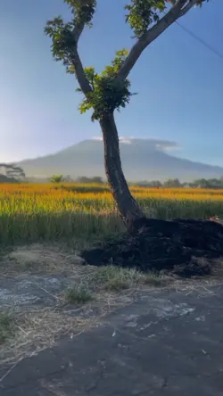 DJ SUMMERTIME SADNES