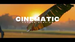 9 klip Cinematic Nat