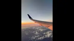 The Maze Runner Cast