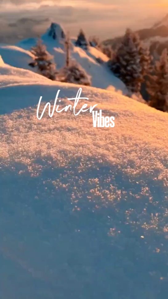 Vibras de invierno
