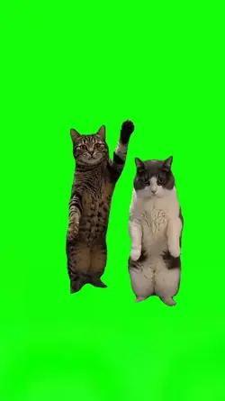 Stranger Things Cats