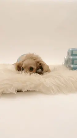 韓流ドラマ風に 