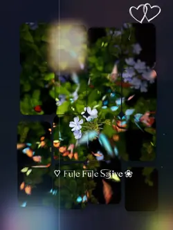 Fule Fule Sajiye