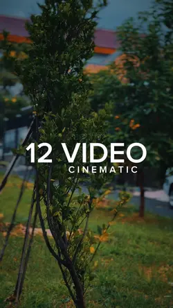 Cinematic 12 Video