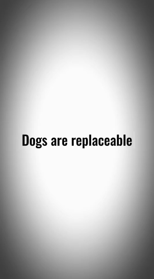 Plantilla de perro