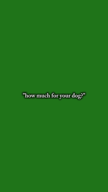 Wie viel 4 ur Hund