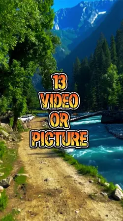 13 video or picture 