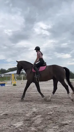 pinkkk ⚠️FAKE⚠️