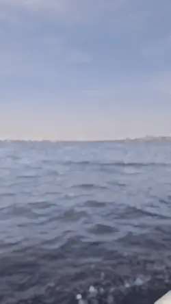 slowmo india 1video 