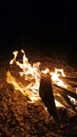 Akgün Gökalp Taşkın 