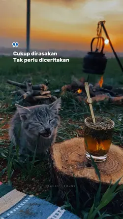 cukup dirasakan