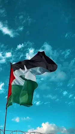 Palestine in myheart