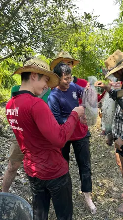 แฟนพันธุ์ท้อมาริโอ่