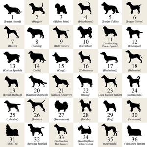 Chiens!