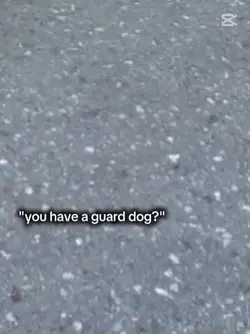 you have a guard dog