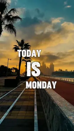 TODAY IS MONDAY