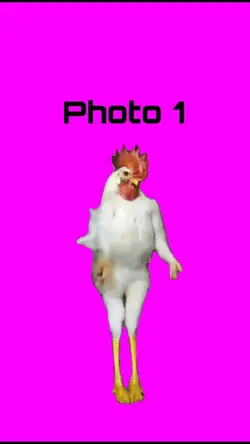 Chicken Dance Meme 