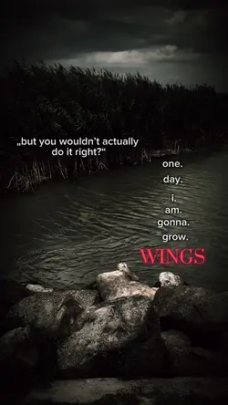 Grow Wings 
