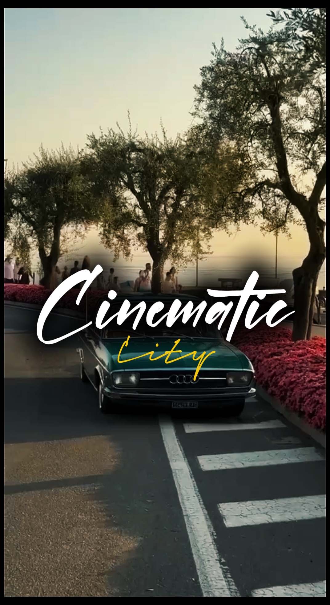 6 Clips Cinemáticos