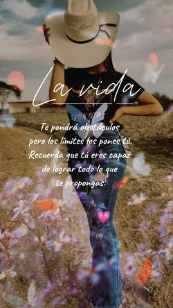 Frases bonitas ✨💗