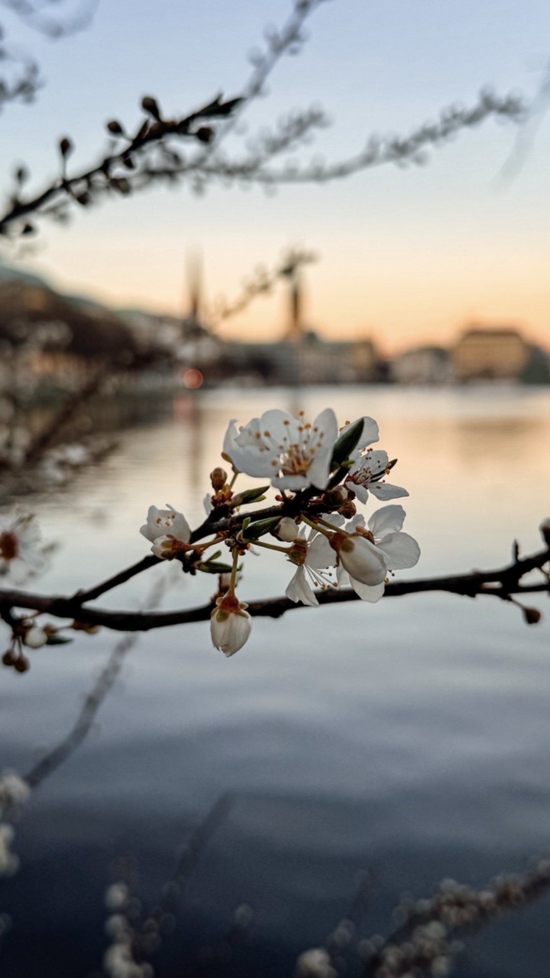 Spring 