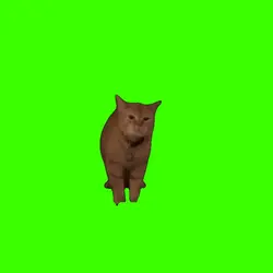 singing cat meme