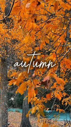 autumn