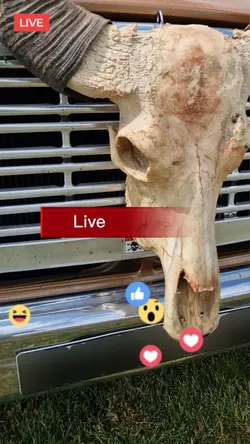 Fake Live