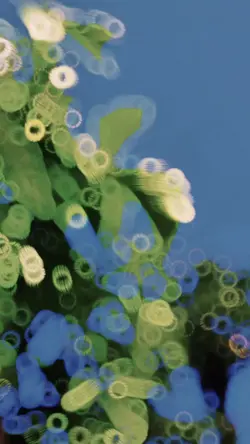 alay ank layangan JJ