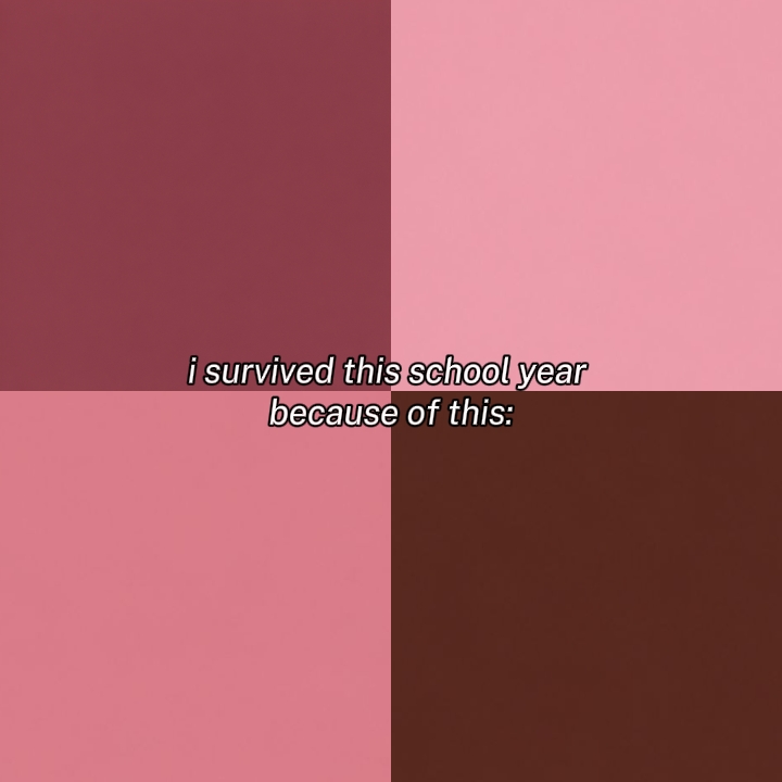 Isurvivedthisschool