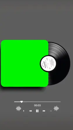 vinyl album