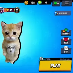 brawl star trend