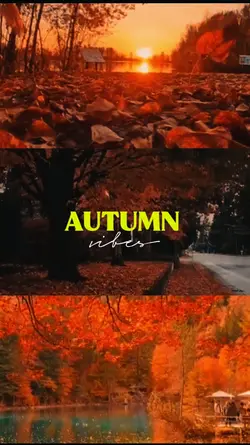 Autumn vibes